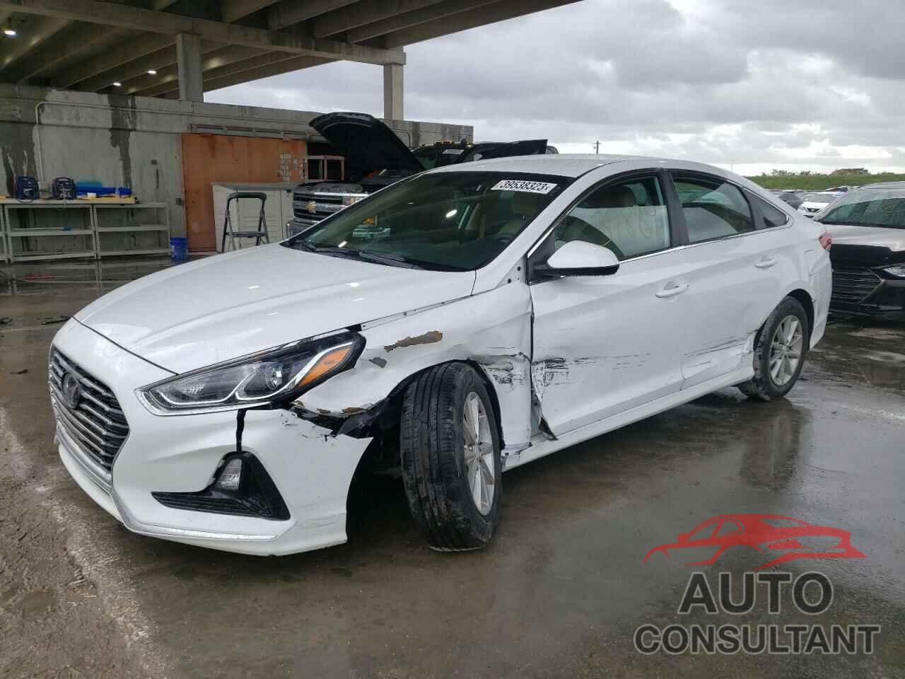 HYUNDAI SONATA 2019 - 5NPE24AF9KH780841