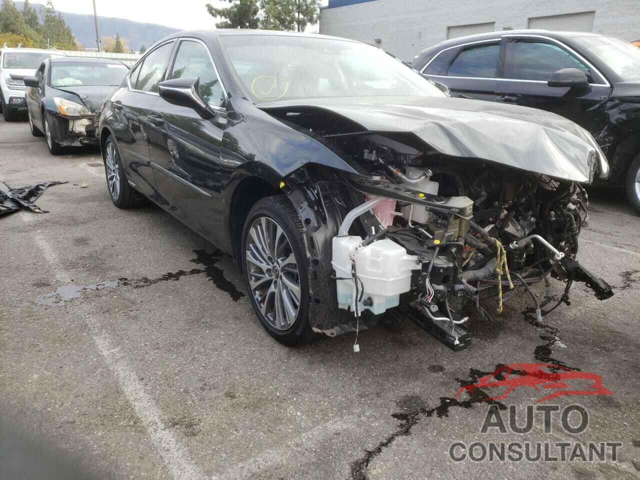 LEXUS ES300 2021 - 58ADA1C19MU001112