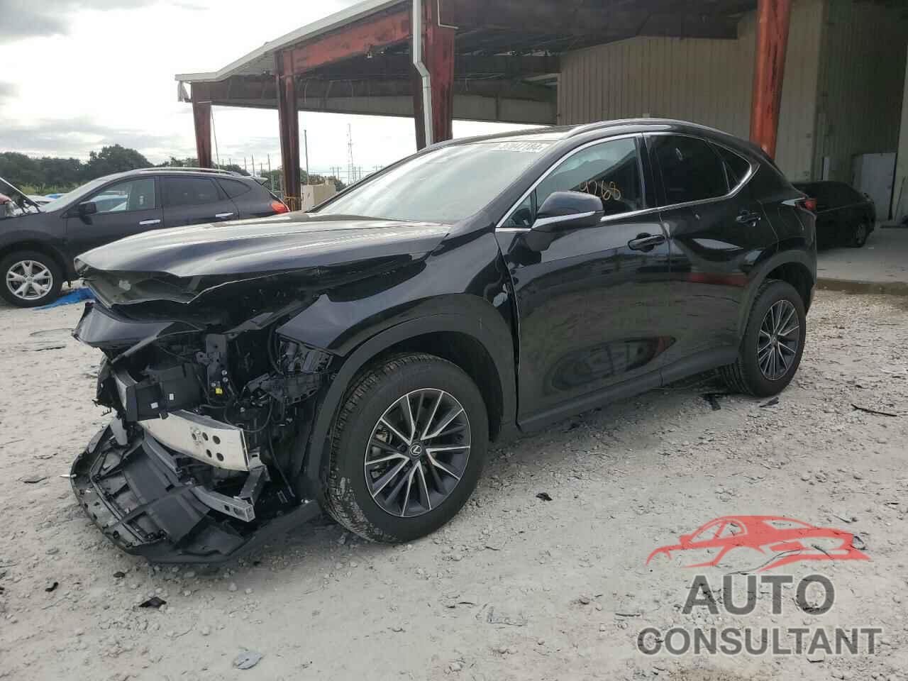 LEXUS NX 250 PRE 2024 - 2T2GDCAZ0RC009653