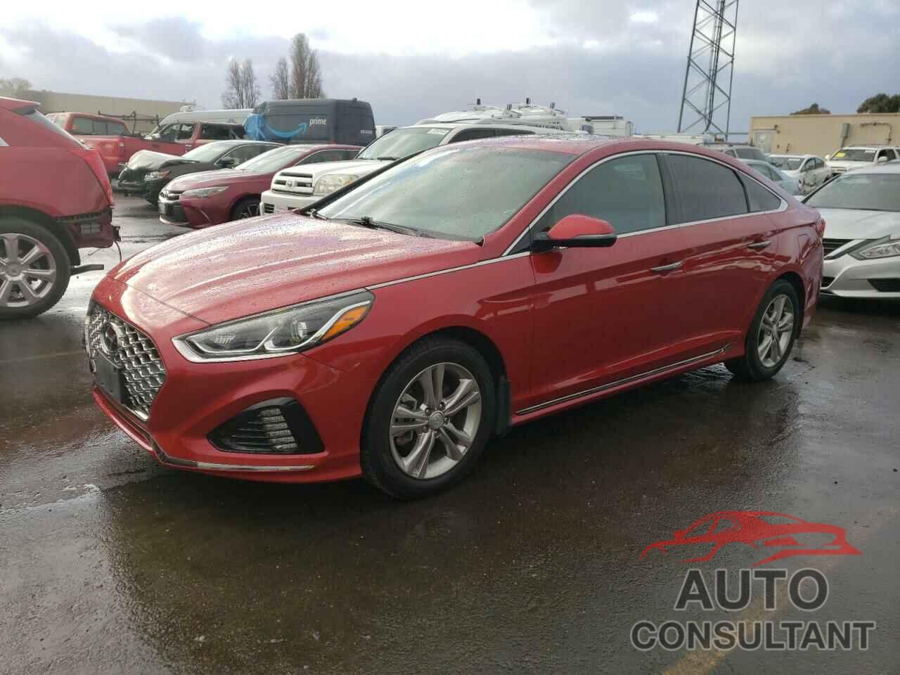 HYUNDAI SONATA 2019 - 5NPE34AF9KH808375