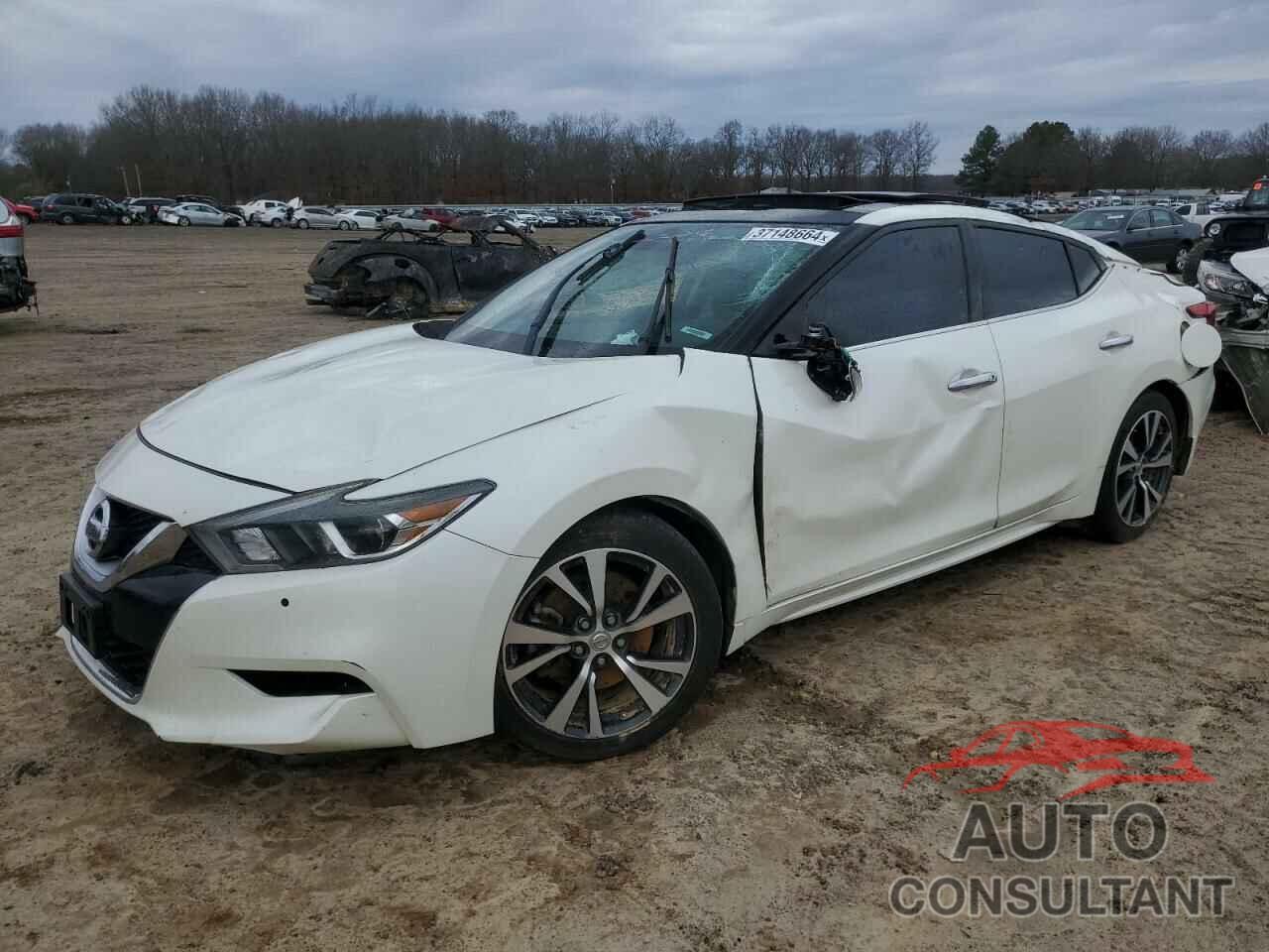 NISSAN MAXIMA 2017 - 1N4AA6AP6HC436643