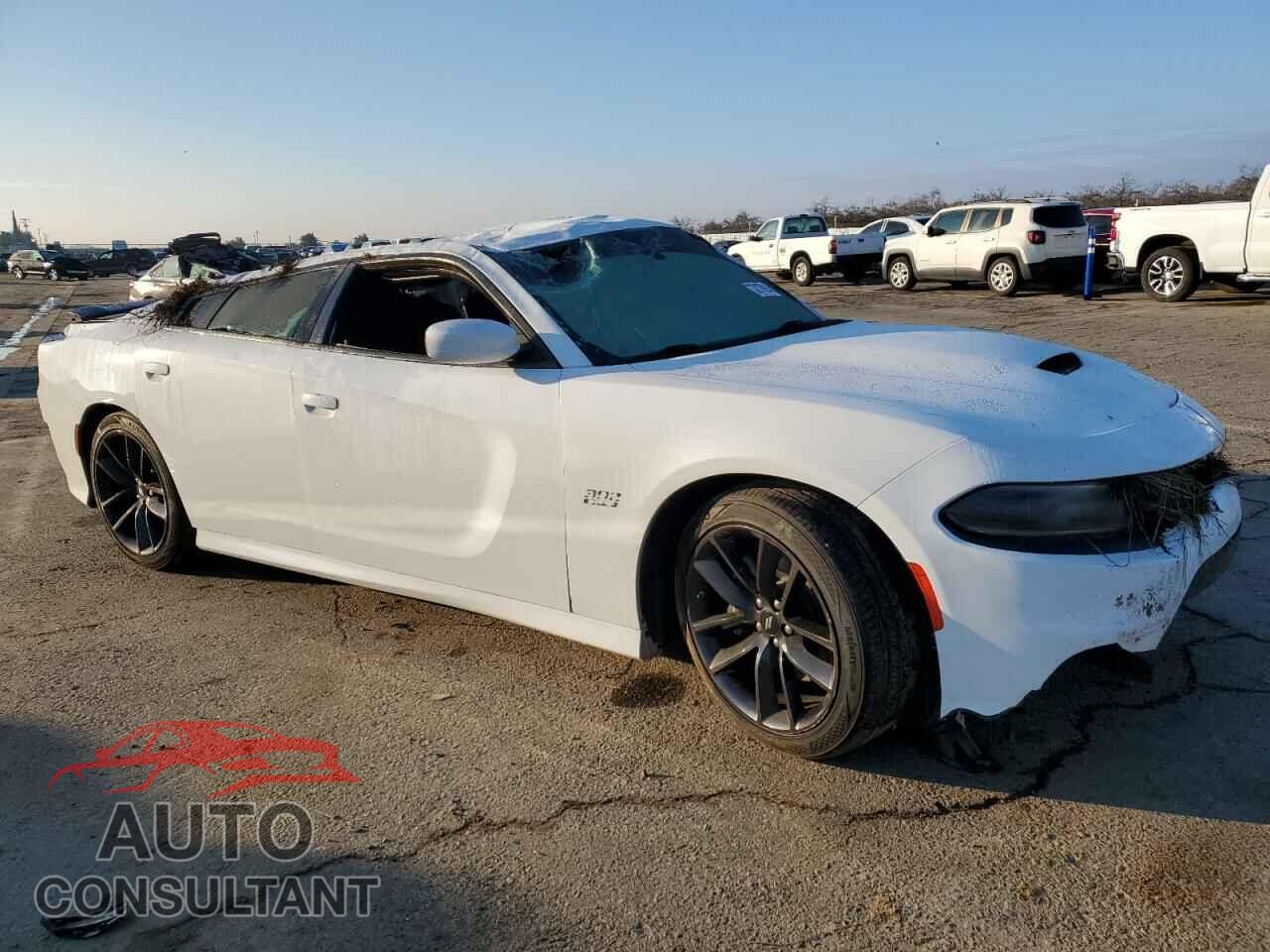 DODGE CHARGER 2019 - 2C3CDXGJ3KH554077