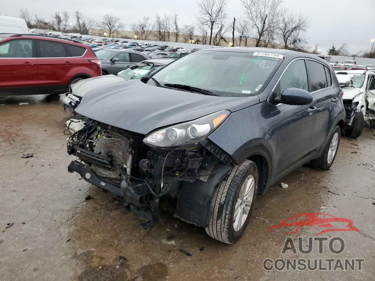 KIA SPORTAGE 2017 - KNDPM3AC9H7150348