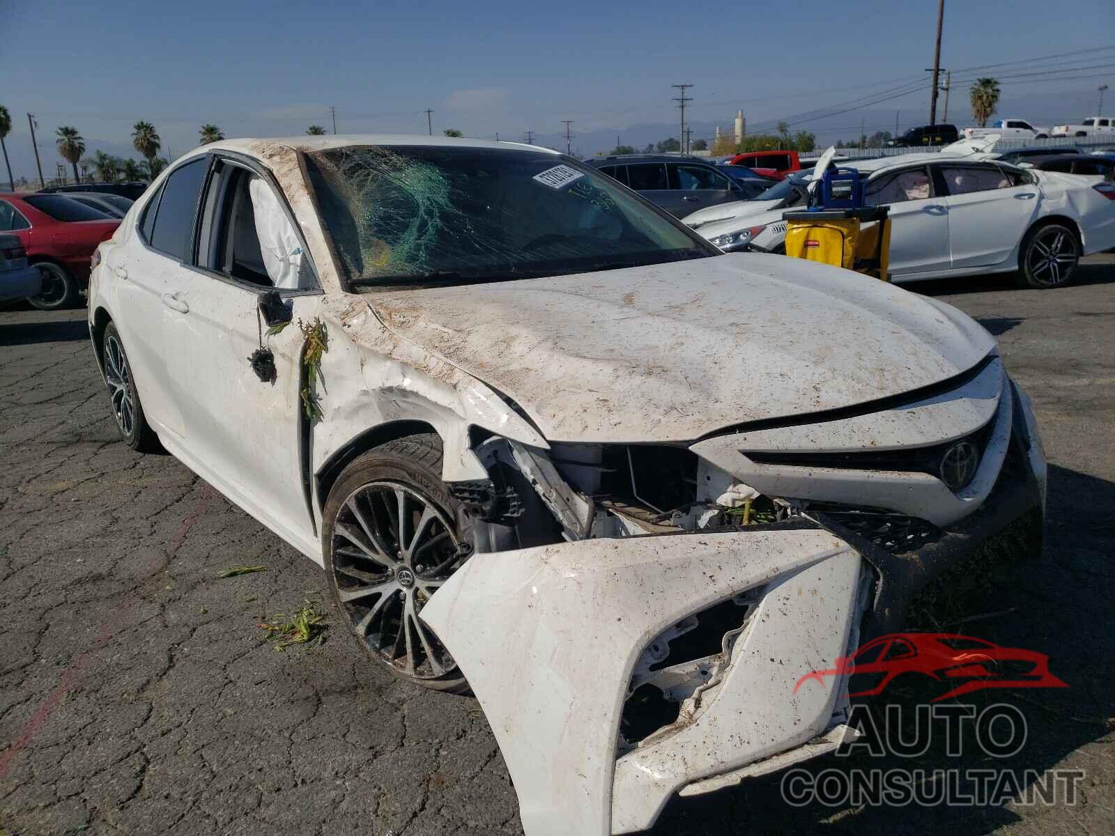 TOYOTA CAMRY 2019 - 4T1B11HK4KU742328