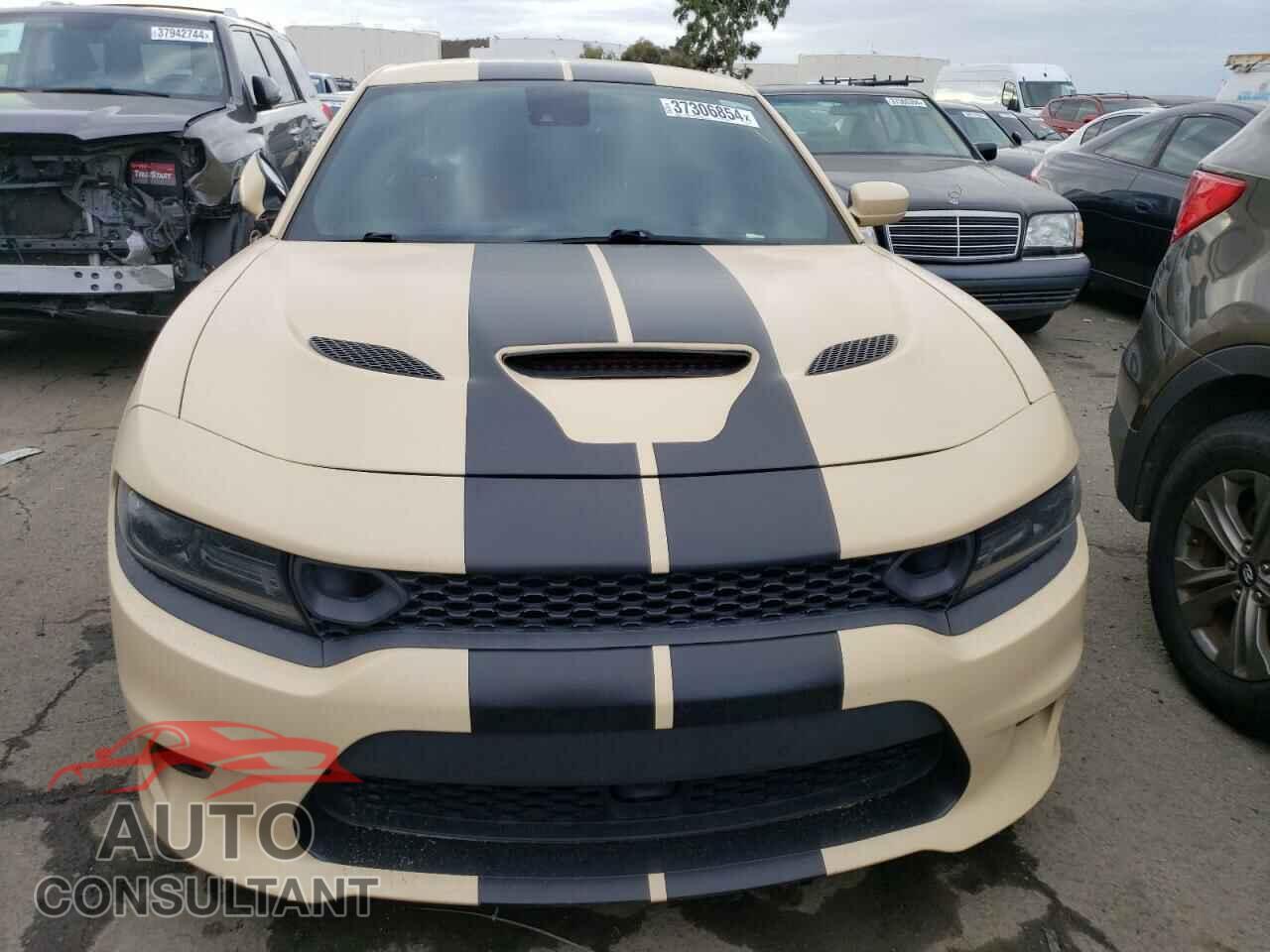 DODGE CHARGER 2019 - 2C3CDXGJ3KH546769