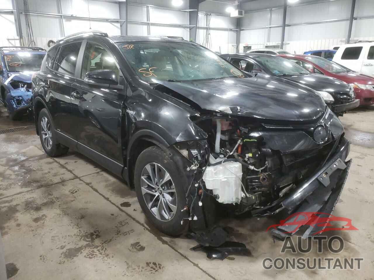 TOYOTA RAV4 2016 - JTMRJREV6GD004604