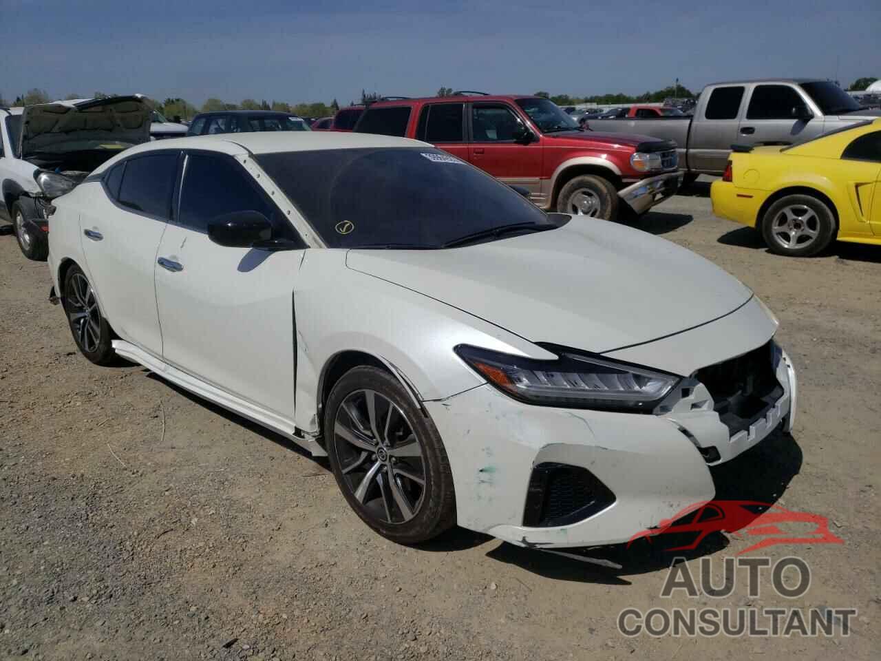 NISSAN MAXIMA 2019 - 1N4AA6AV8KC367458