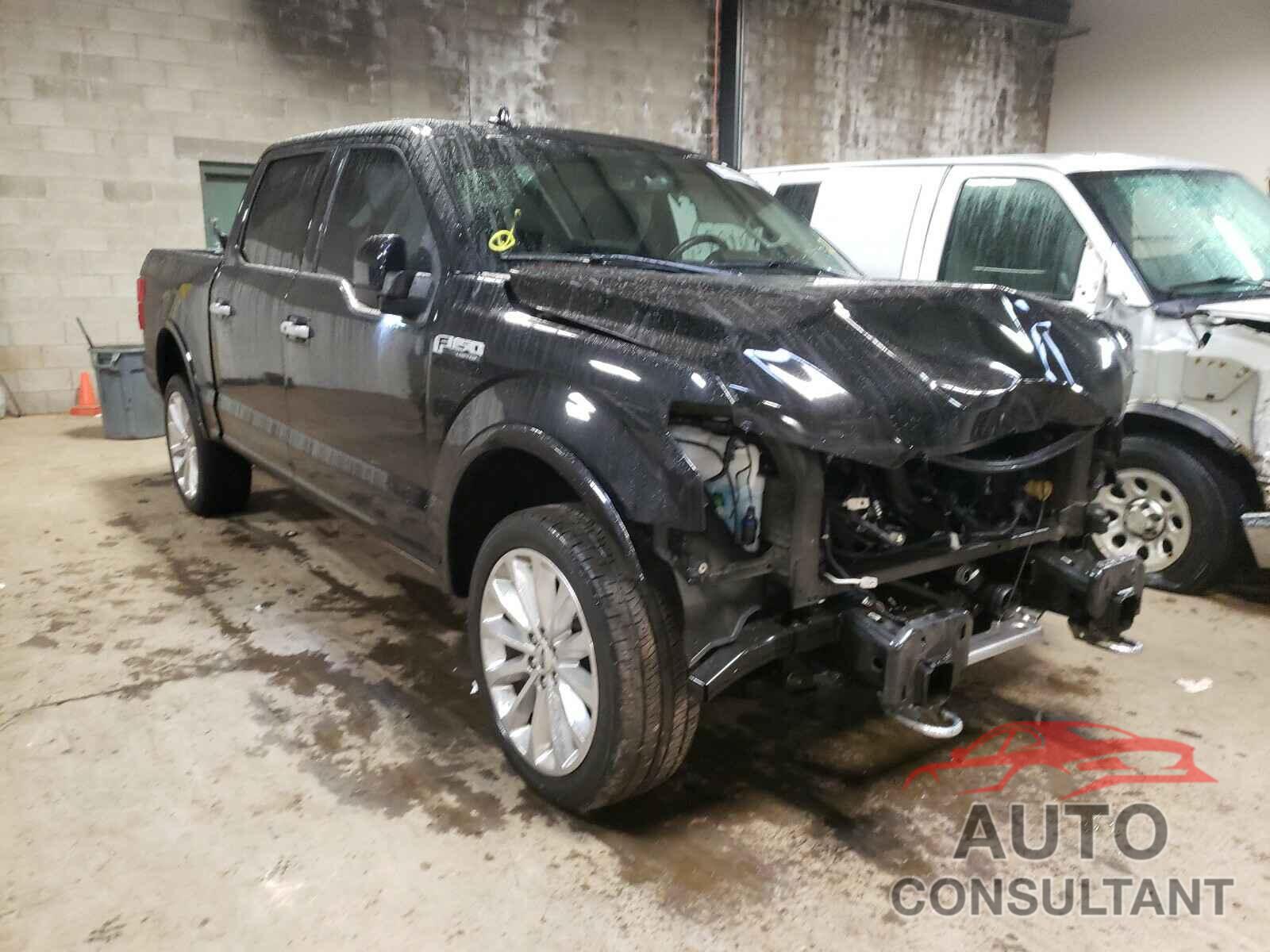 FORD F150 2019 - JA4APVAU8MU016082