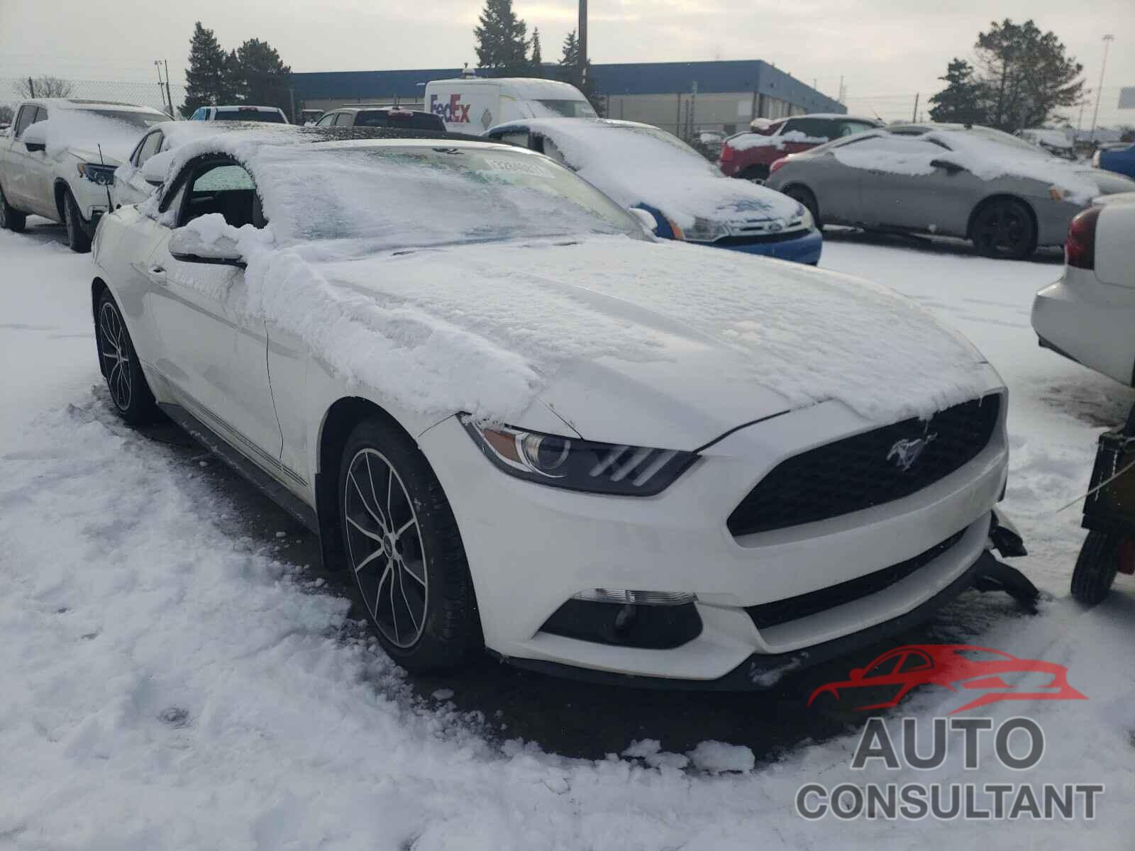 FORD MUSTANG 2017 - 1FATP8UHXH5343894