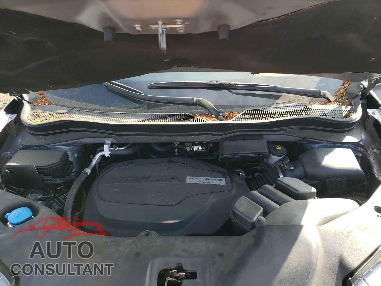 HONDA RIDGELINE 2019 - 5FPYK3F79KB013098