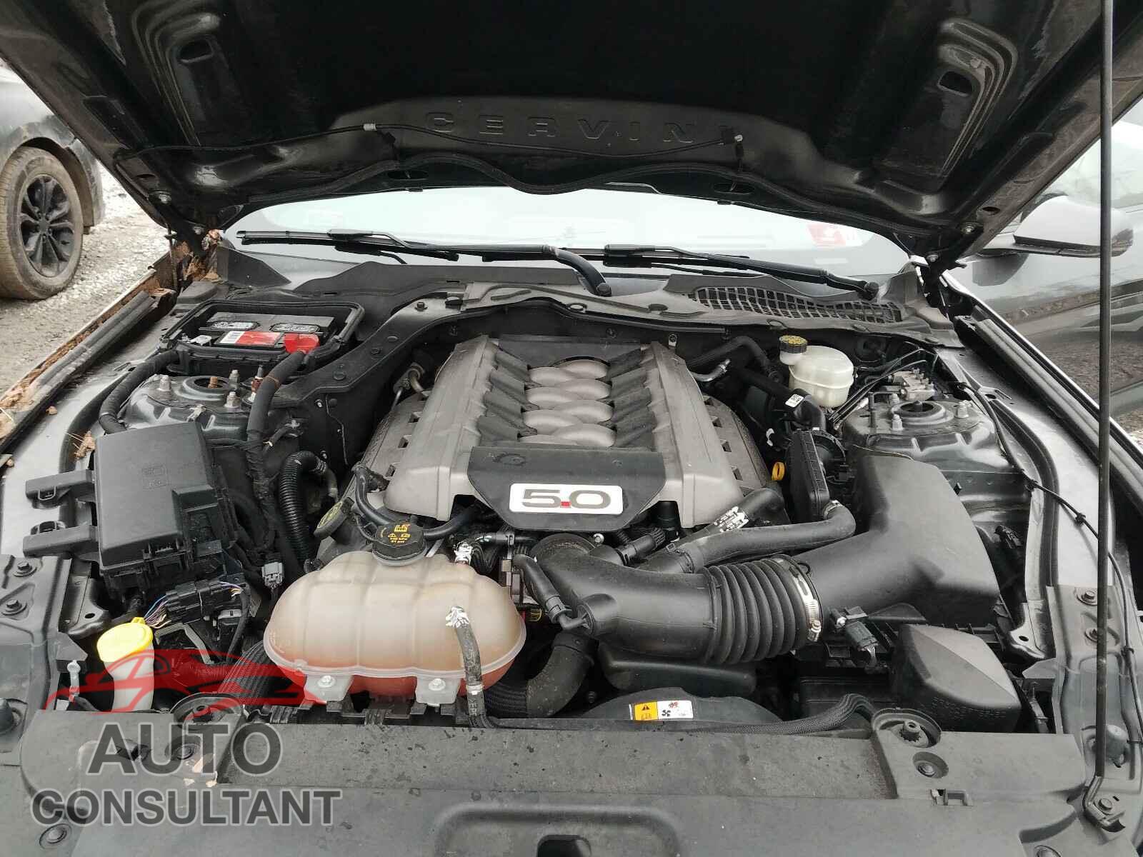 FORD MUSTANG 2016 - 1FA6P8CF1G5241556