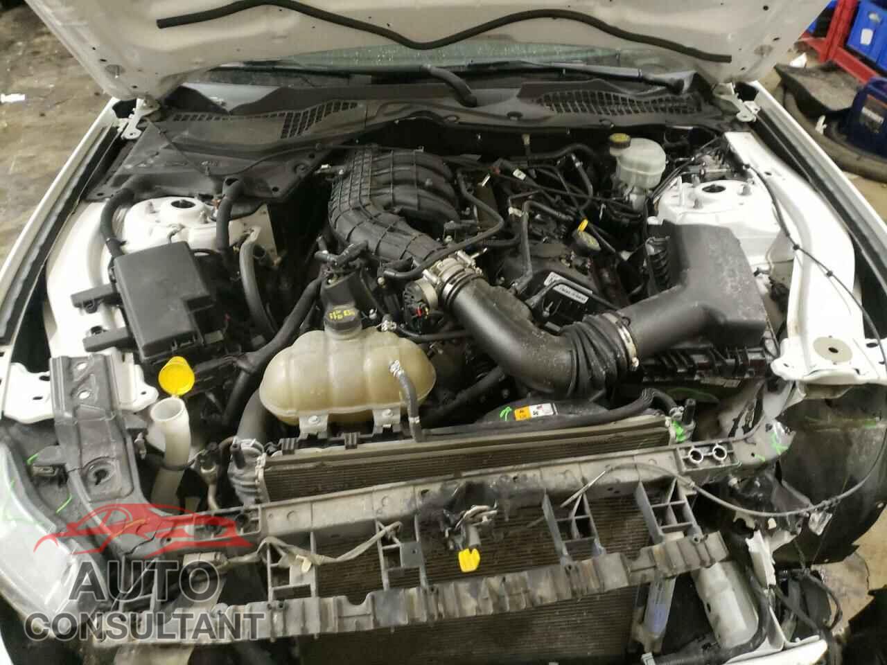 FORD MUSTANG 2016 - 1FA6P8AM8G5252569