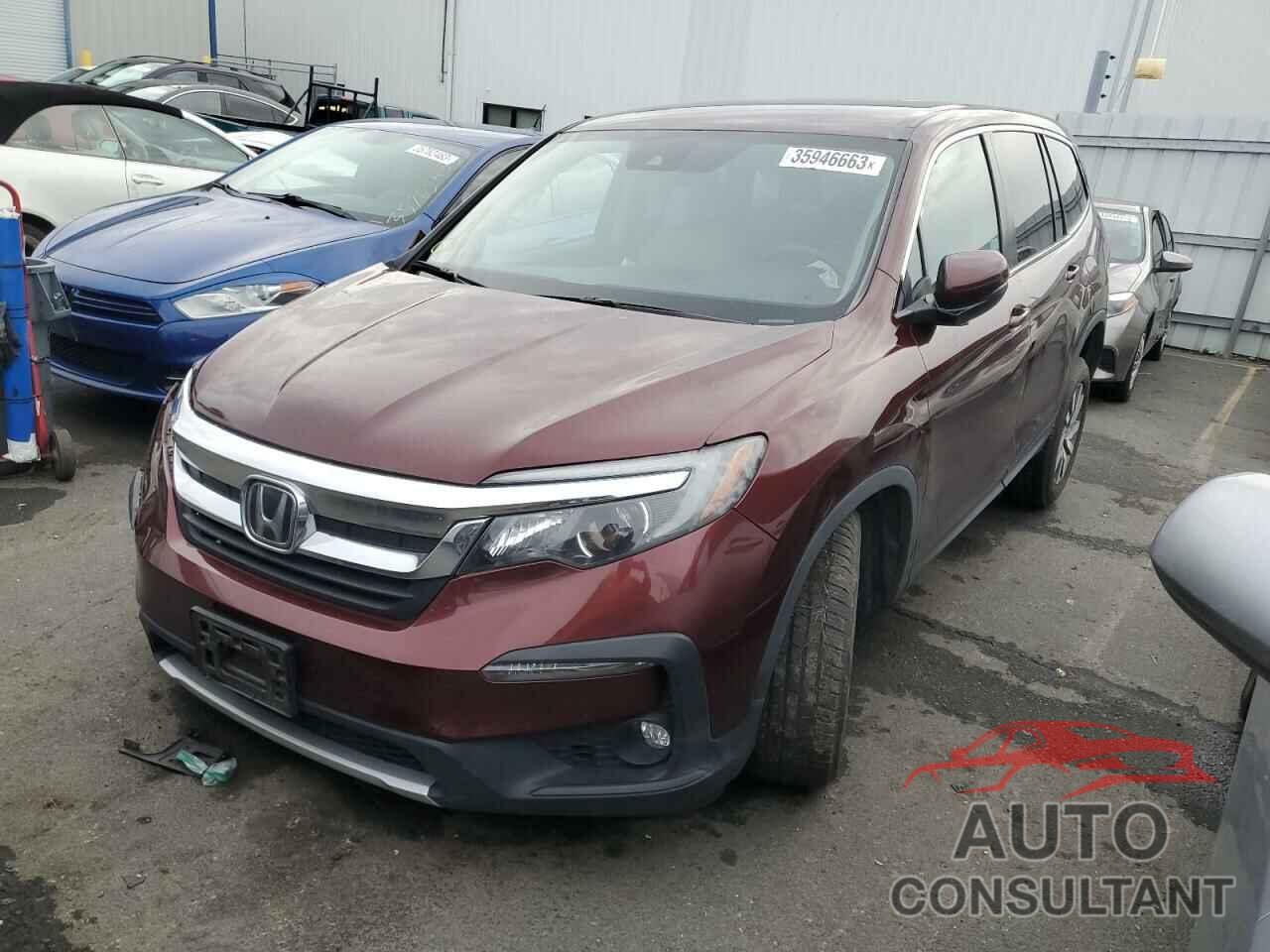 HONDA PILOT 2019 - 5FNYF6H33KB083172