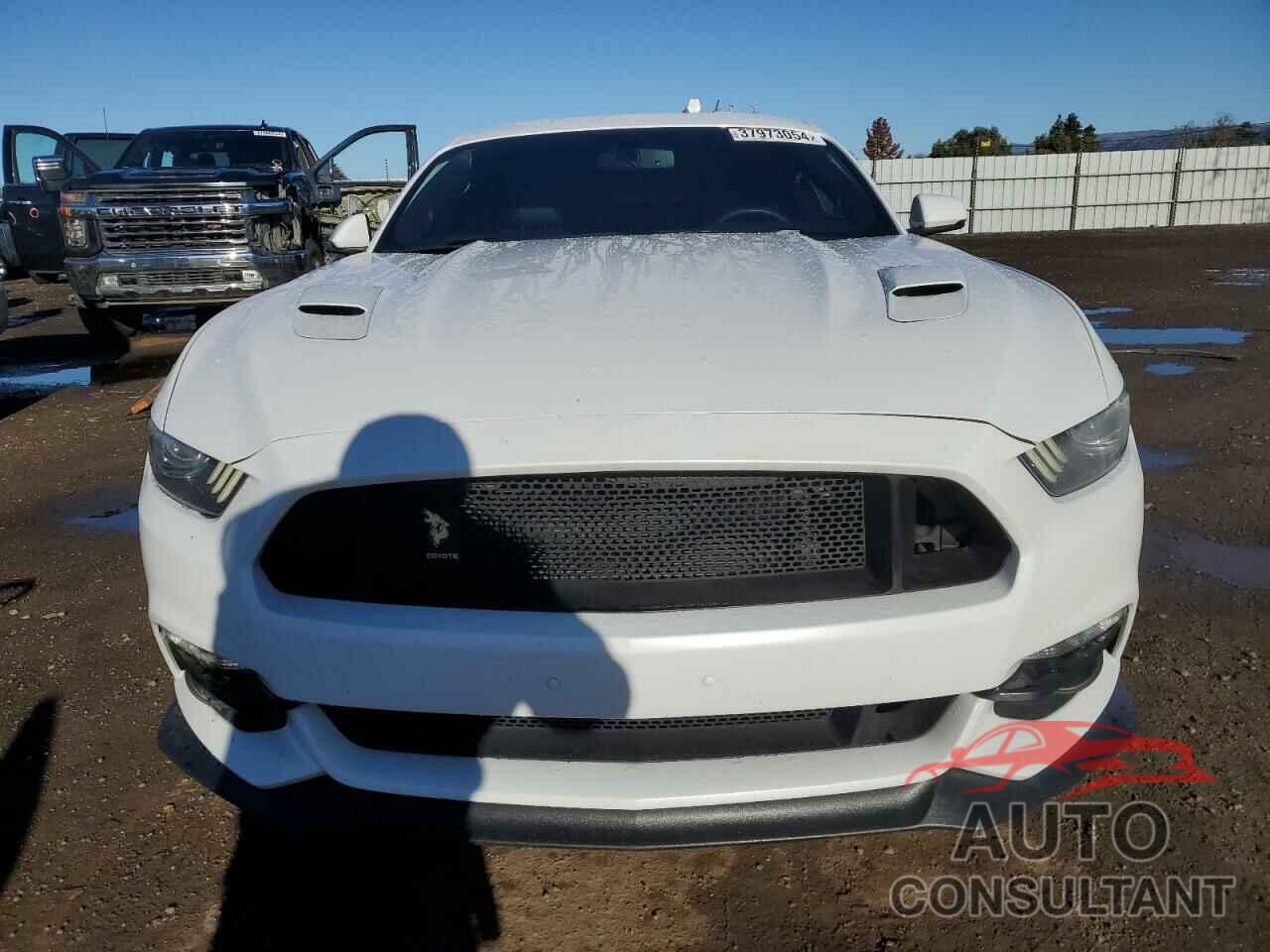 FORD MUSTANG 2017 - 1FA6P8CF3H5302942