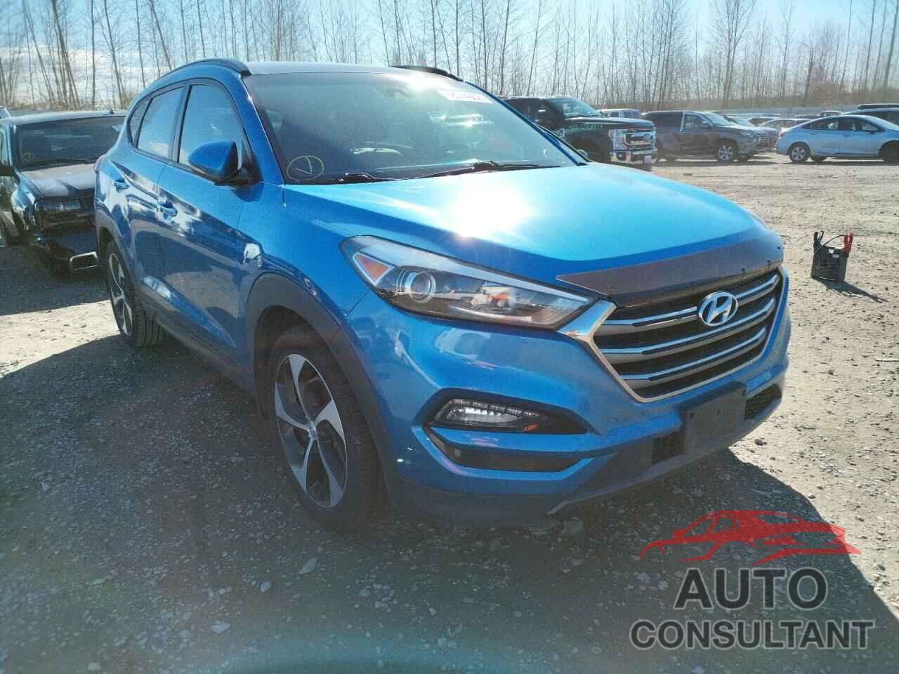 HYUNDAI TUCSON 2016 - KM8J33A26GU093425