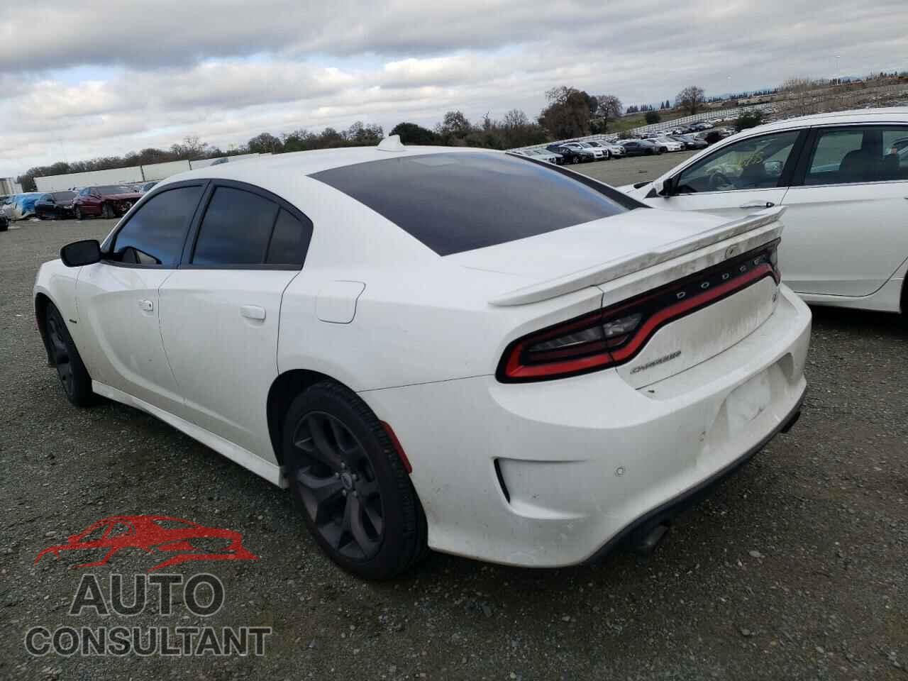 DODGE CHARGER 2019 - 2C3CDXCTXKH757345