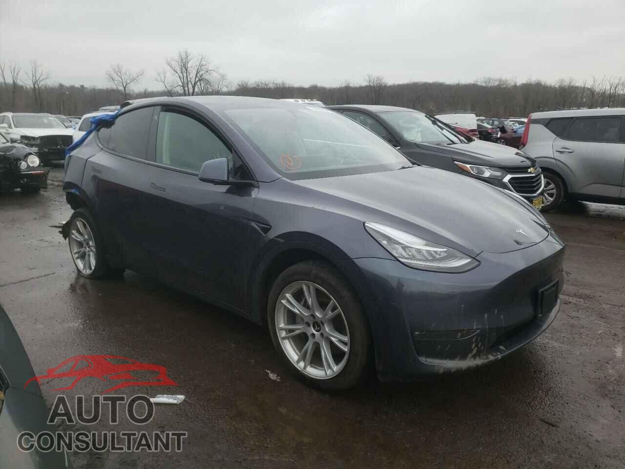 TESLA MODEL Y 2021 - 5YJYGDEEXMF288286