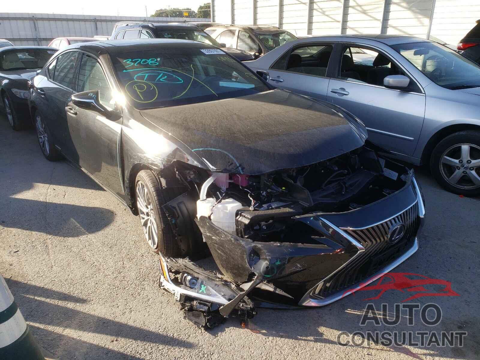 LEXUS ES300 2020 - 58AD21B18LU008839