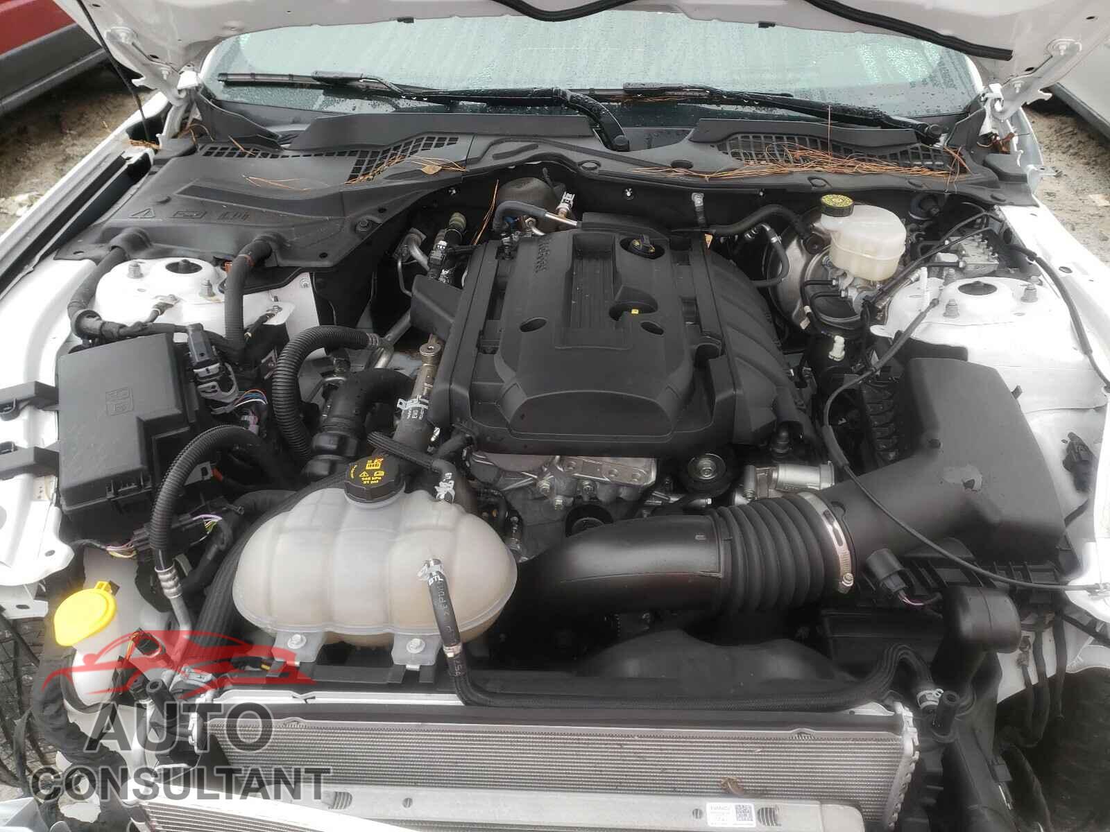 FORD MUSTANG 2019 - 1FA6P8TH9K5173579