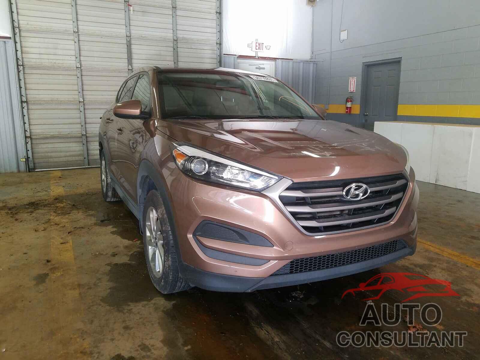 HYUNDAI TUCSON 2016 - KM8J23A43GU024292