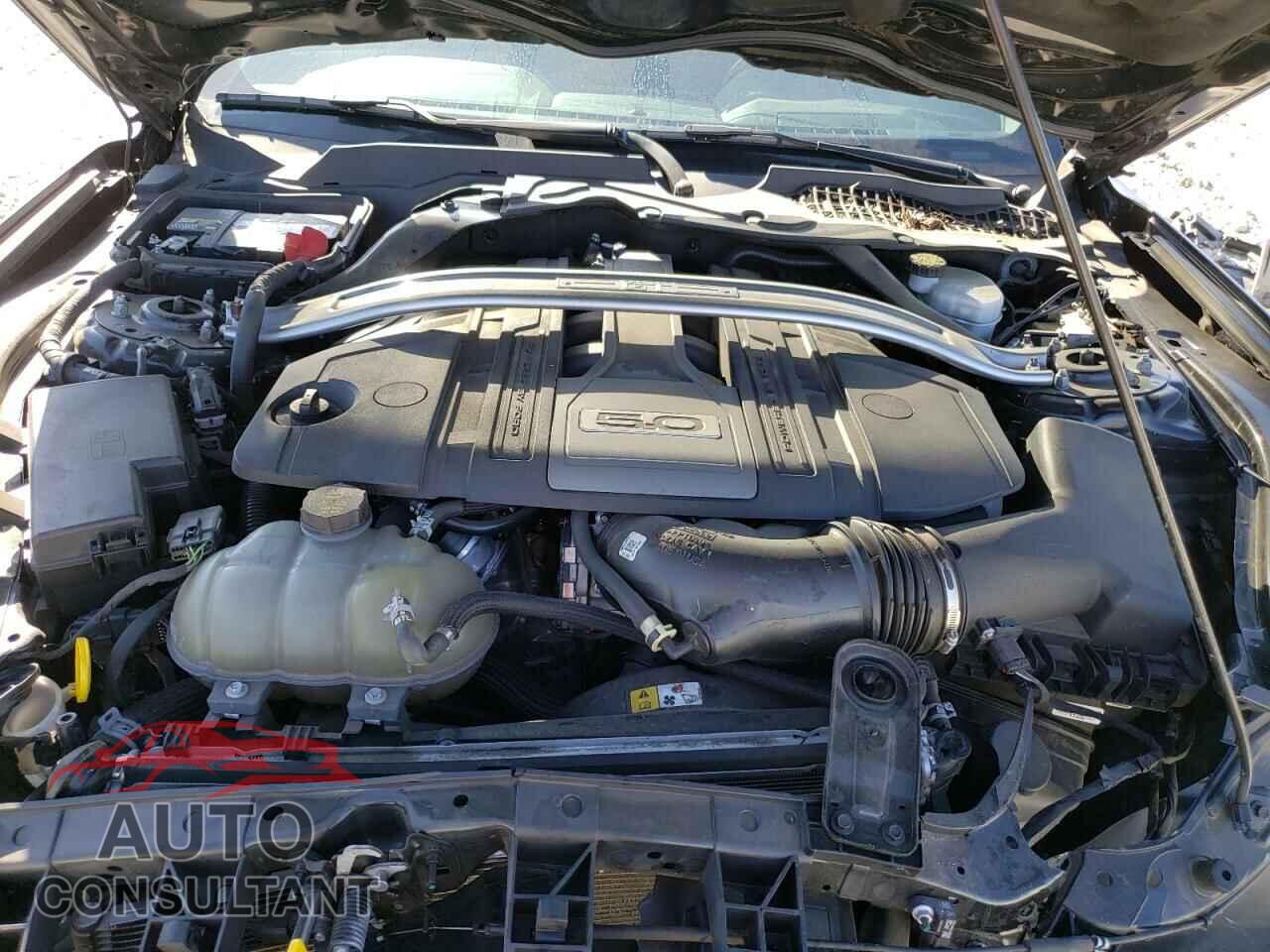 FORD MUSTANG 2018 - 1FA6P8CF2J5116444