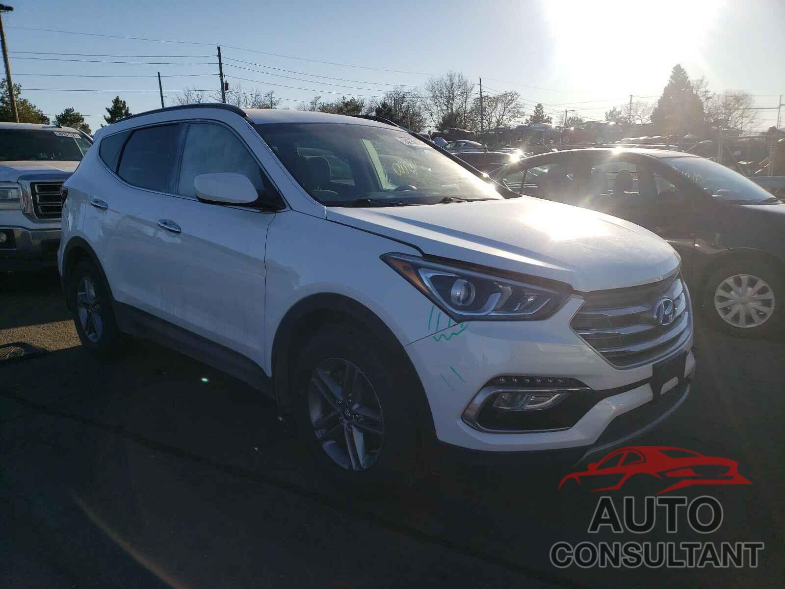 HYUNDAI SANTA FE 2017 - 5NMZUDLB7HH023819