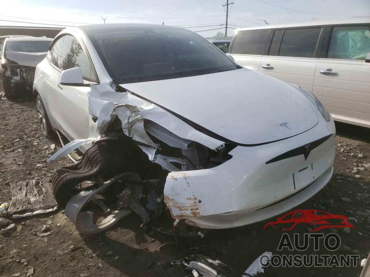 TESLA MODEL Y 2021 - 5YJYGDEE0MF288071