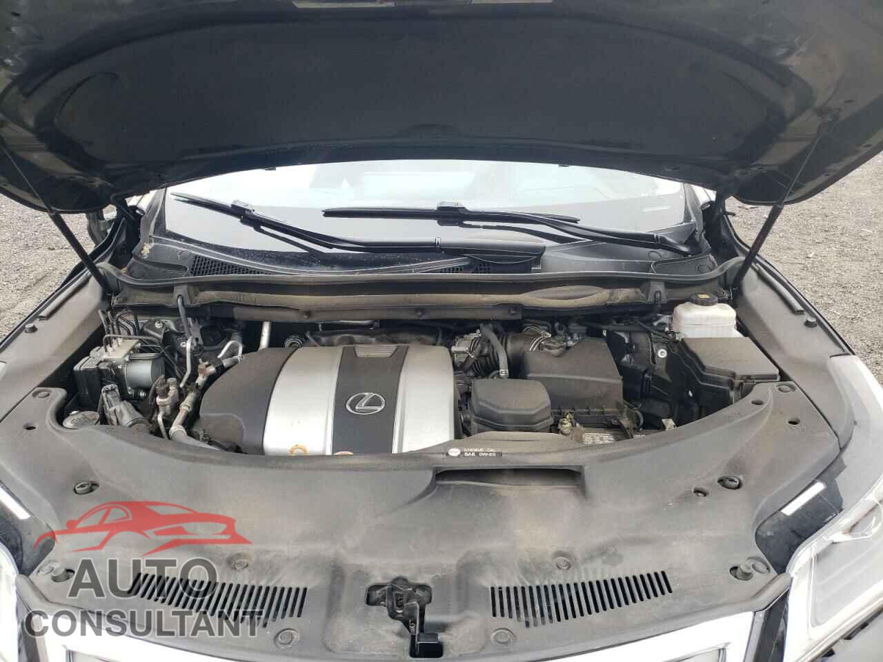 LEXUS RX350 2019 - 2T2BZMCA8KC204060