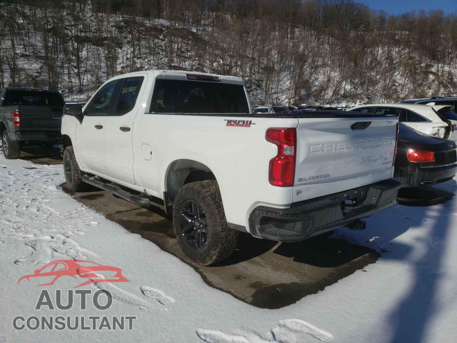 CHEVROLET SILVERADO 2020 - 1GCRYCEH3LZ243768