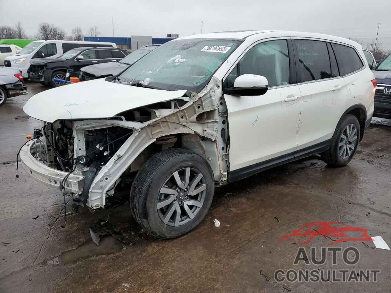 HONDA PILOT 2019 - 5FNYF6H59KB052803