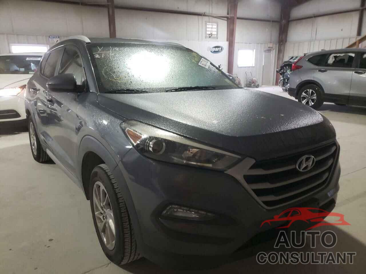 HYUNDAI TUCSON 2017 - KM8J33A48HU266199