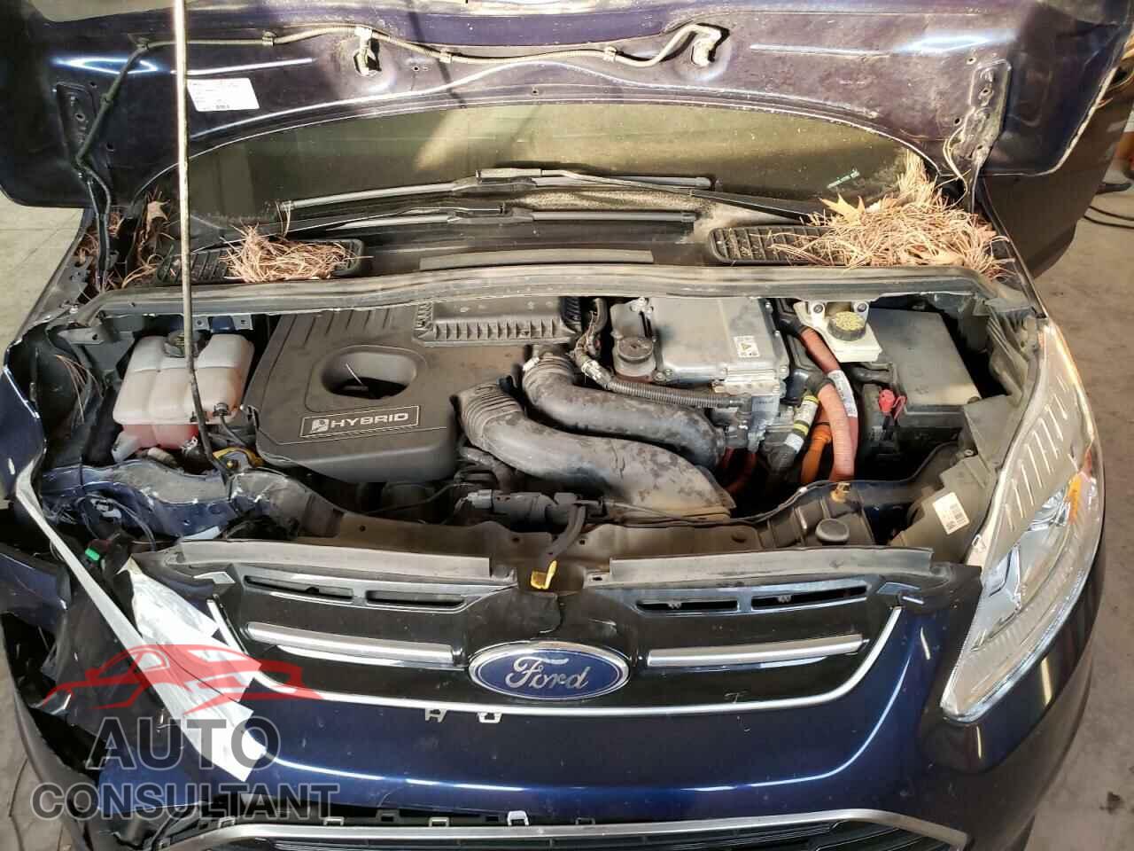 FORD CMAX 2017 - 1FADP5AU9HL117782
