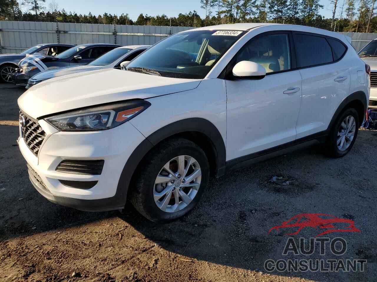 HYUNDAI TUCSON 2019 - KM8J23A49KU843848