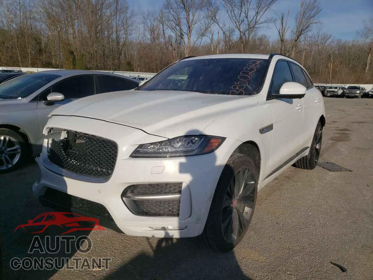 JAGUAR F-PACE 2018 - SADCL2FXXJA288887
