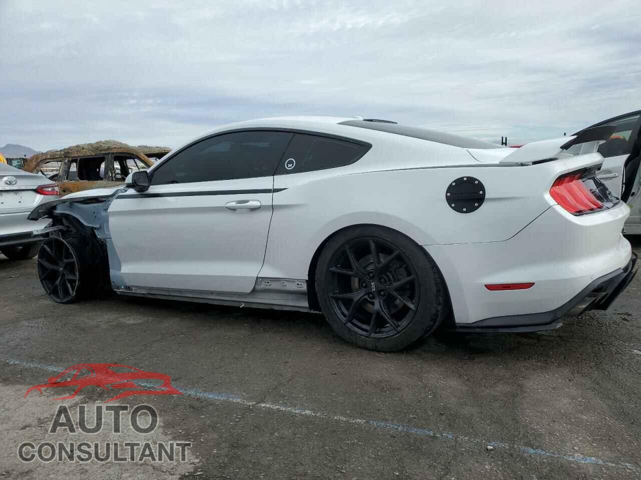 FORD MUSTANG 2019 - 1FA6P8CF3K5196628