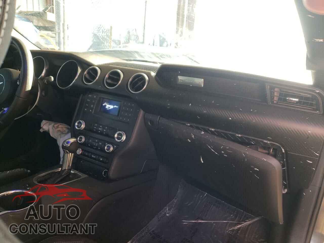 FORD MUSTANG 2019 - 1FA6P8THXK5174207