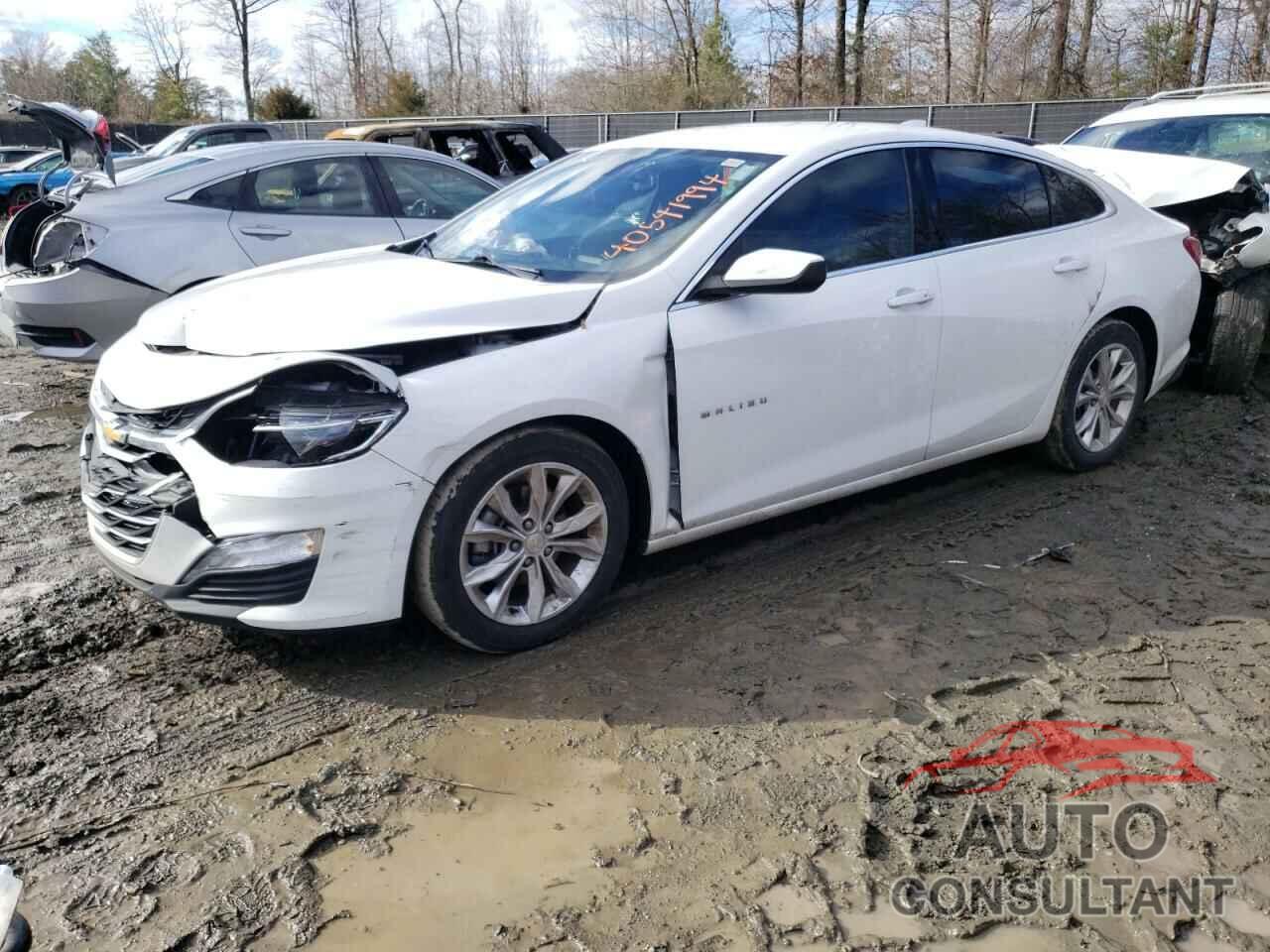 CHEVROLET MALIBU 2019 - 1G1ZD5ST0KF104853