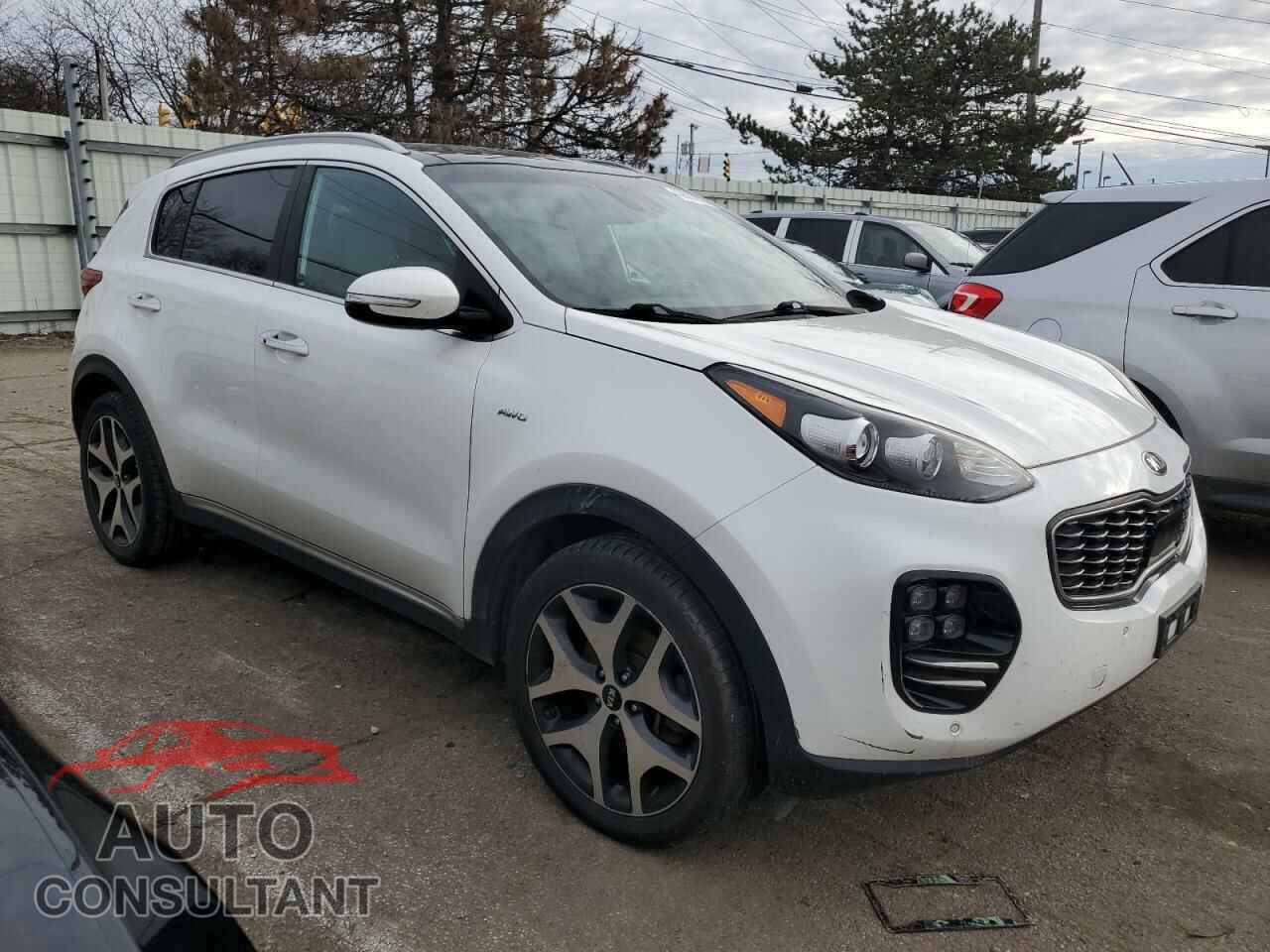 KIA SPORTAGE 2017 - KNDPRCA61H7049655