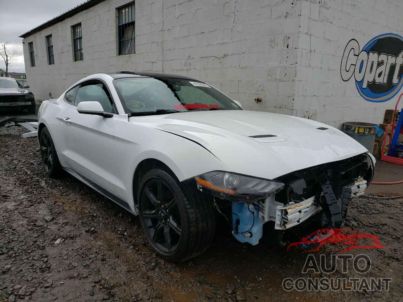 FORD MUSTANG 2019 - 1FA6P8TH2K5173200