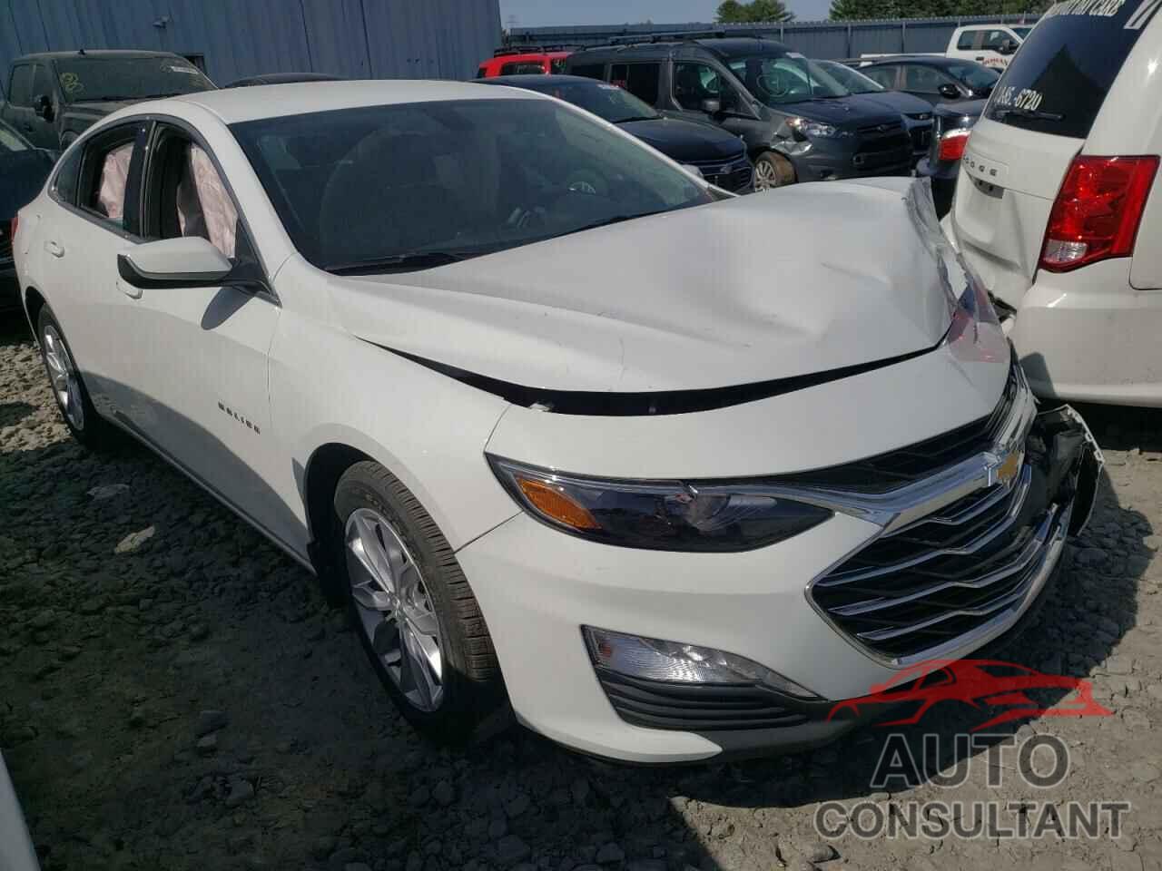 CHEVROLET MALIBU 2019 - 1G1ZD5ST3KF114812