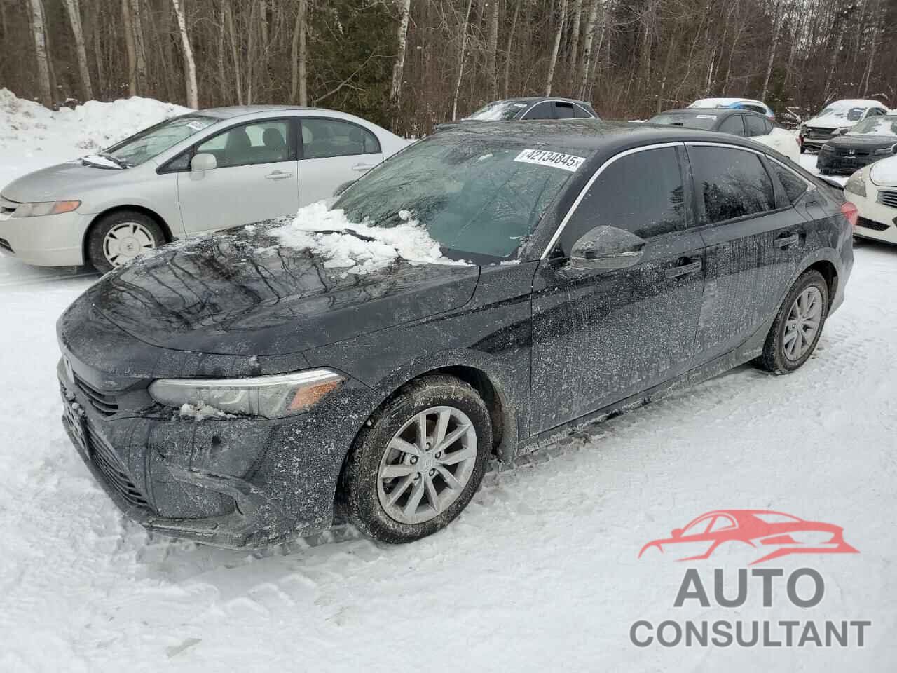 HONDA CIVIC 2024 - 2HGFE2F38RH111303