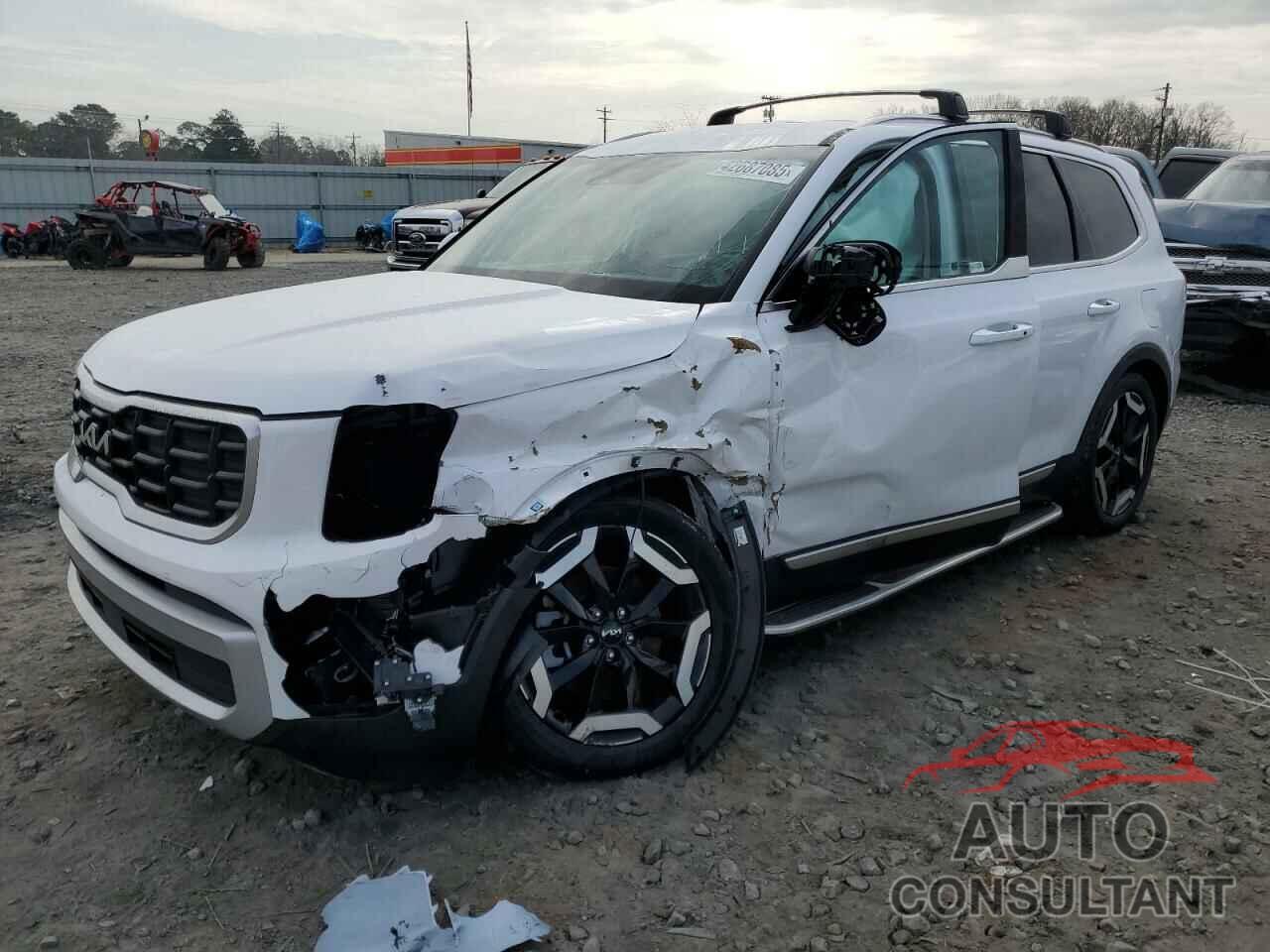 KIA TELLURIDE 2024 - 5XYP64GC5RG474716