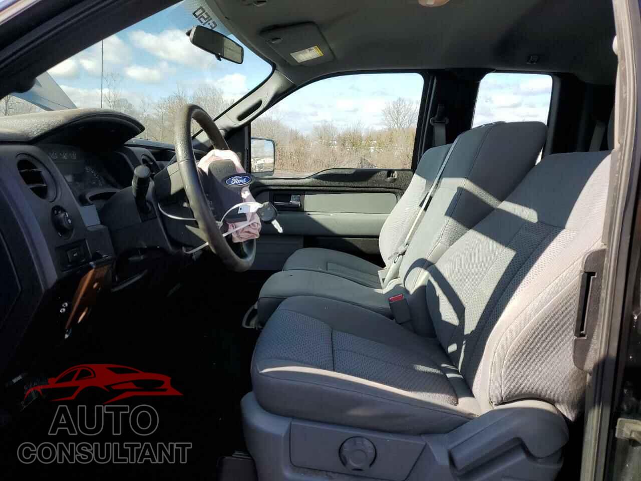 FORD F-150 2012 - 1FTFX1EF8CFB22633