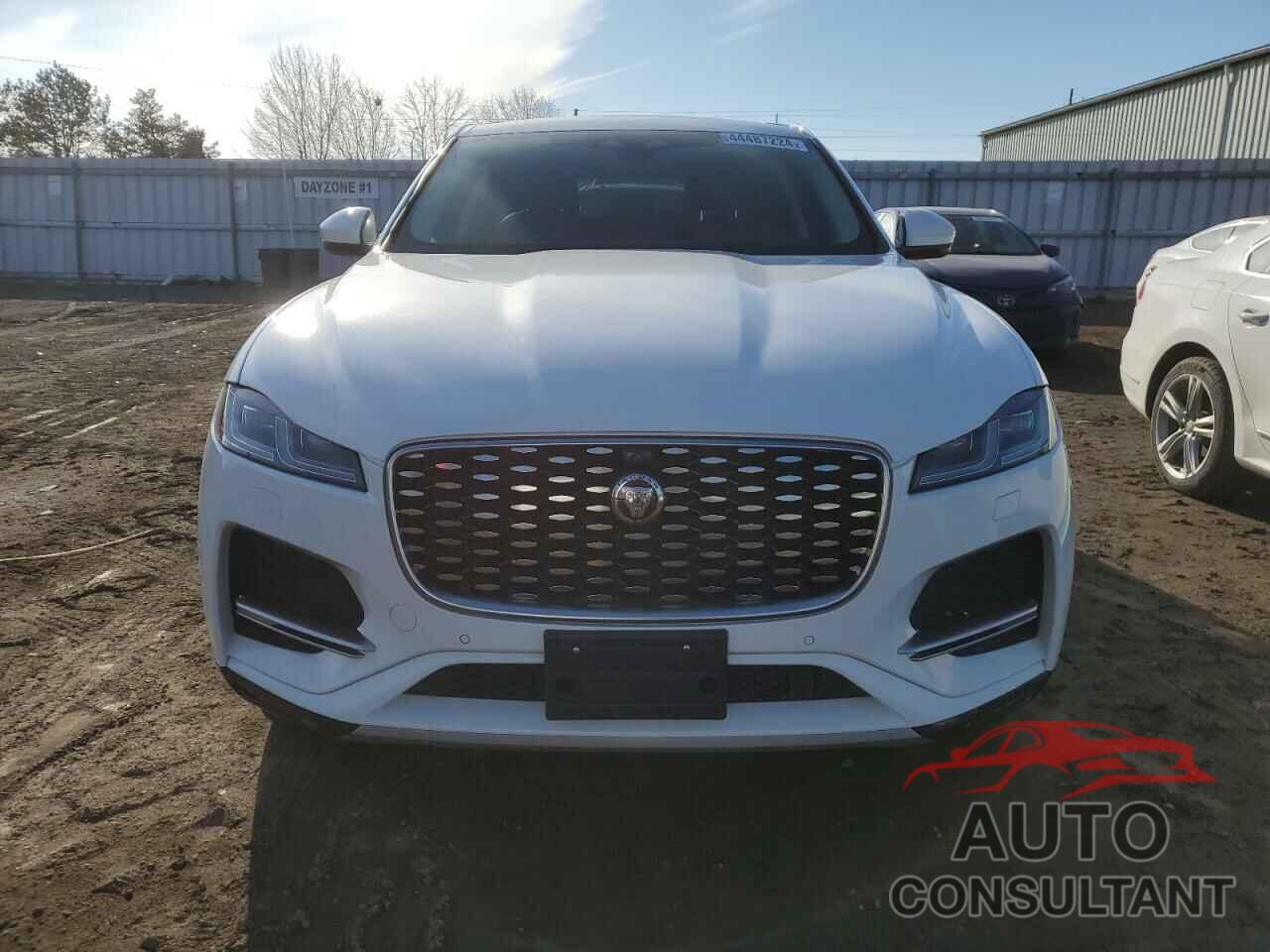 JAGUAR F-PACE 2021 - SADCJ2EX7MA682262