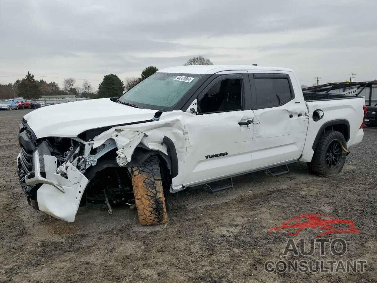 TOYOTA TUNDRA 2024 - 5TFLA5DB5RX155800