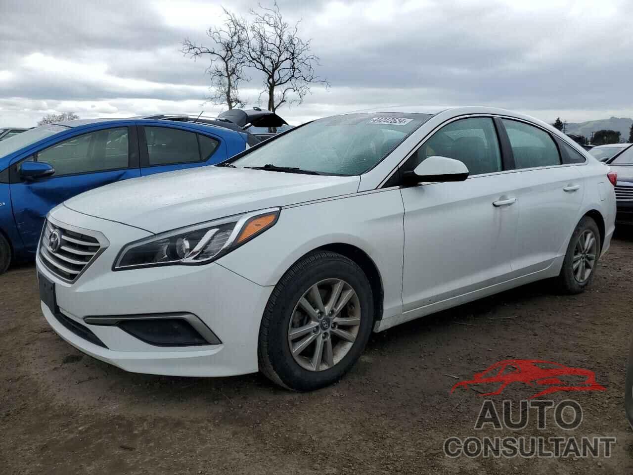 HYUNDAI SONATA 2017 - 5NPE24AFXHH531084
