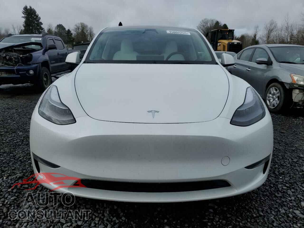 TESLA MODEL Y 2024 - 7SAYGDEE5RF115706