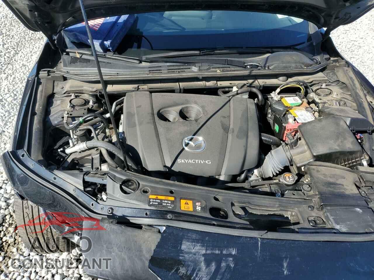 MAZDA 3 2019 - JM1BPACL7K1106829