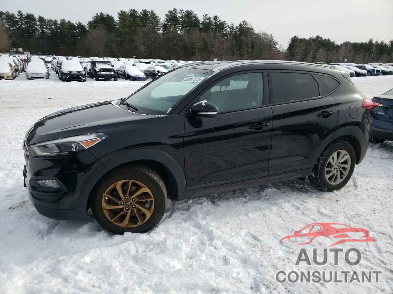 HYUNDAI TUCSON 2016 - KM8J3CA24GU165058