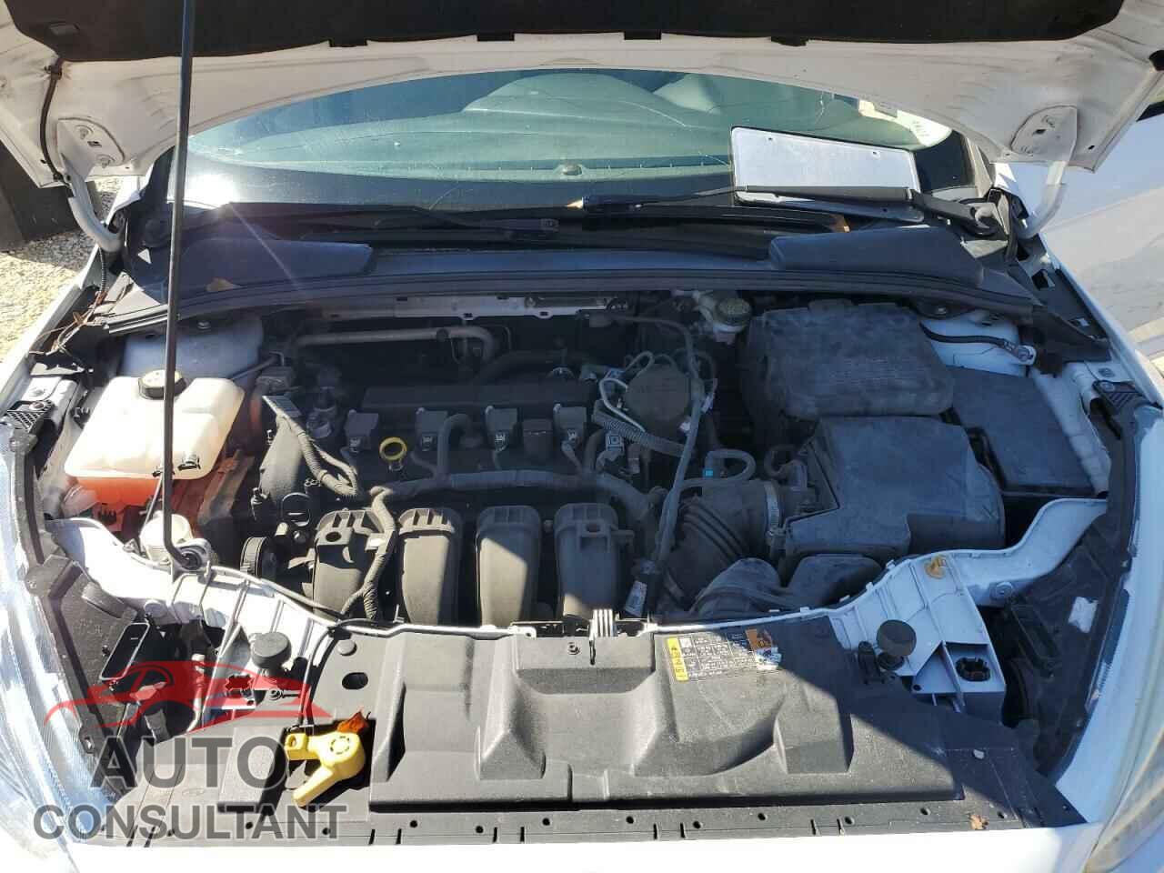 FORD FOCUS 2016 - 1FADP3F29GL222557